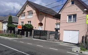 Casa Anca